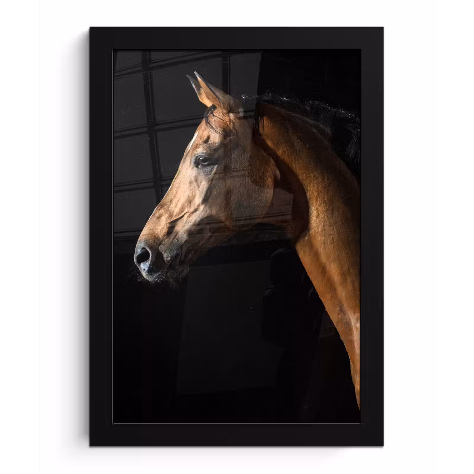 Poster met lijst - Paard - Dieren - Nacht - Zwart — 1