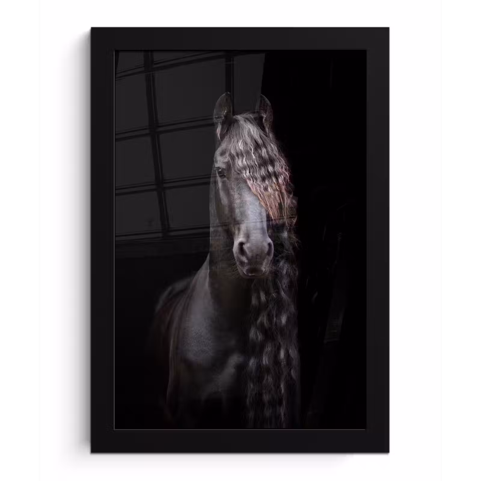 Poster met lijst - Paarden - Fries - Manen - Zwart - Dieren — 1