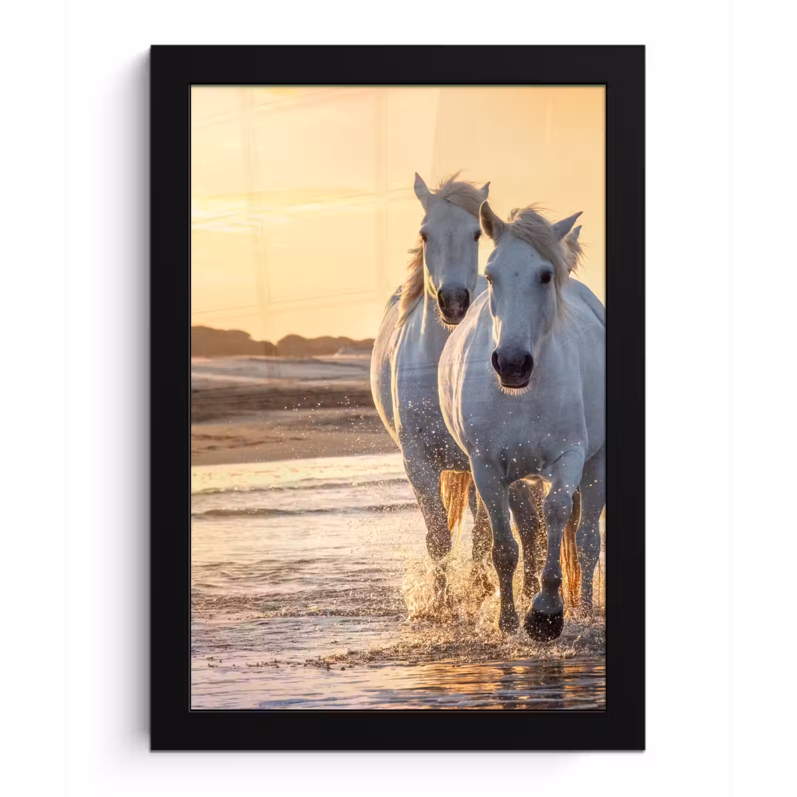 Poster met lijst - Paarden - Water - Strand - Dieren — 1