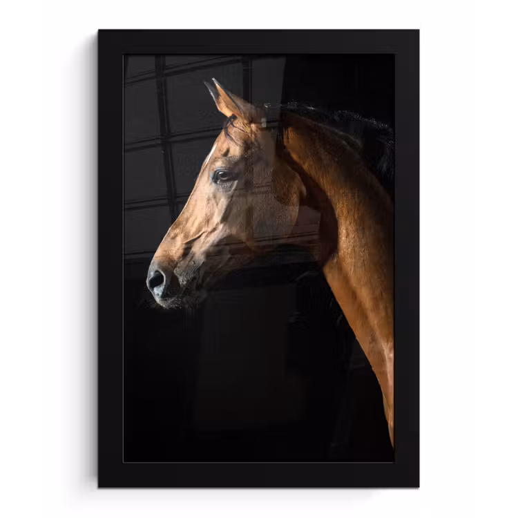 Poster met lijst - Paard - Dieren - Nacht - Zwart — 1