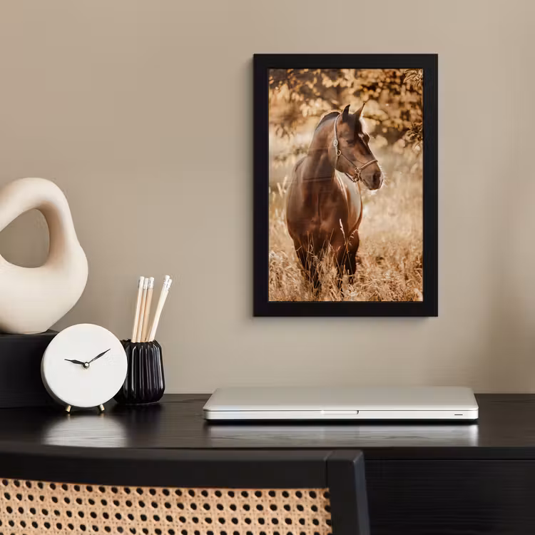Poster met lijst - Paard - Zon - Portret - Natuur - Bruin — 2