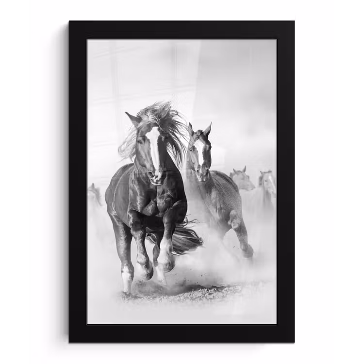 Poster met lijst - Paarden - Dieren - Illustratie — 1