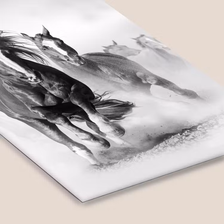Poster met lijst - Paarden - Dieren - Illustratie — 7