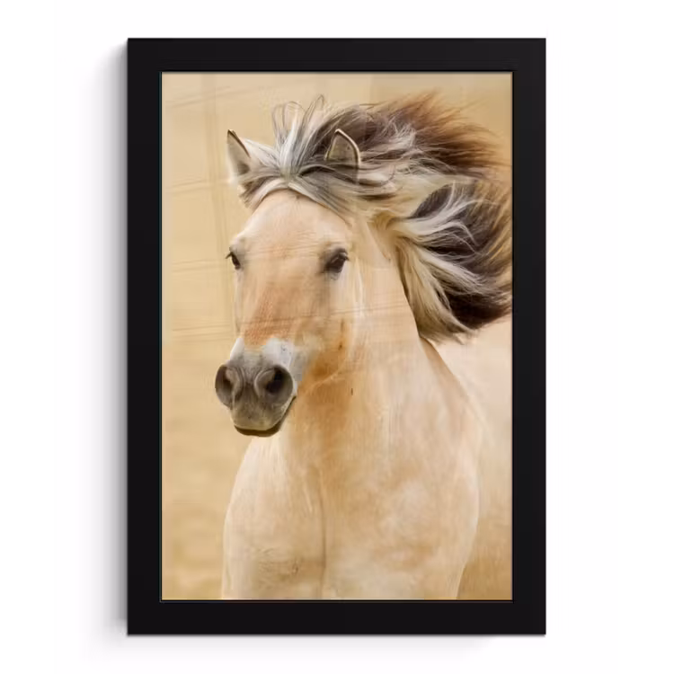 Poster met lijst - Paarden - Dieren - Manen - Portret — 1