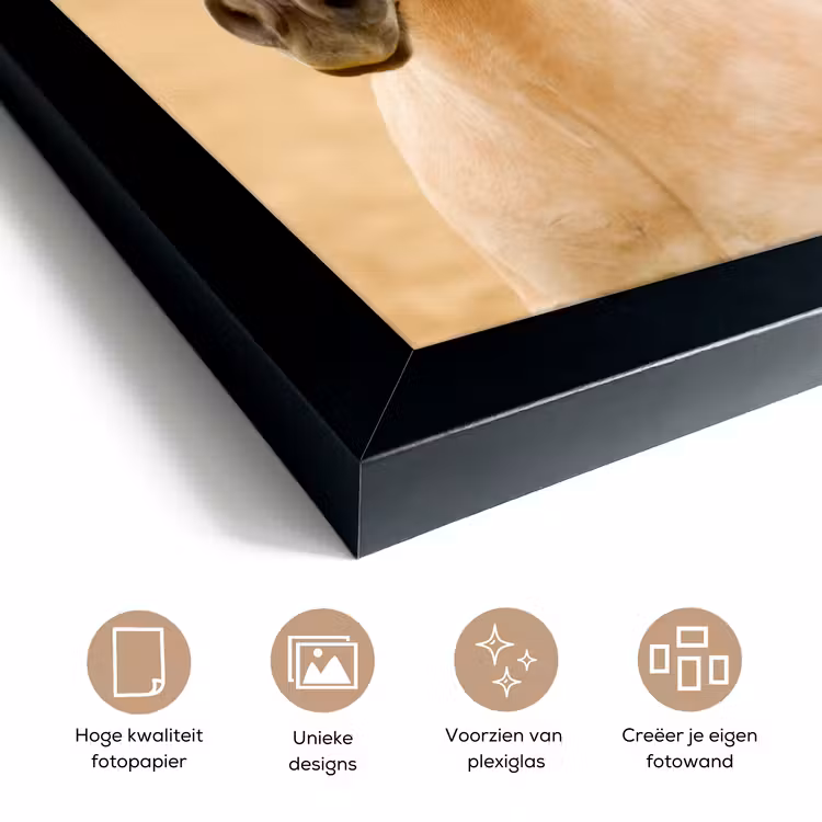 Poster met lijst - Paarden - Dieren - Manen - Portret — 6