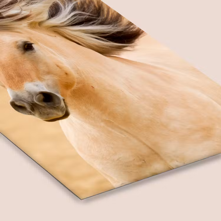Poster met lijst - Paarden - Dieren - Manen - Portret — 7