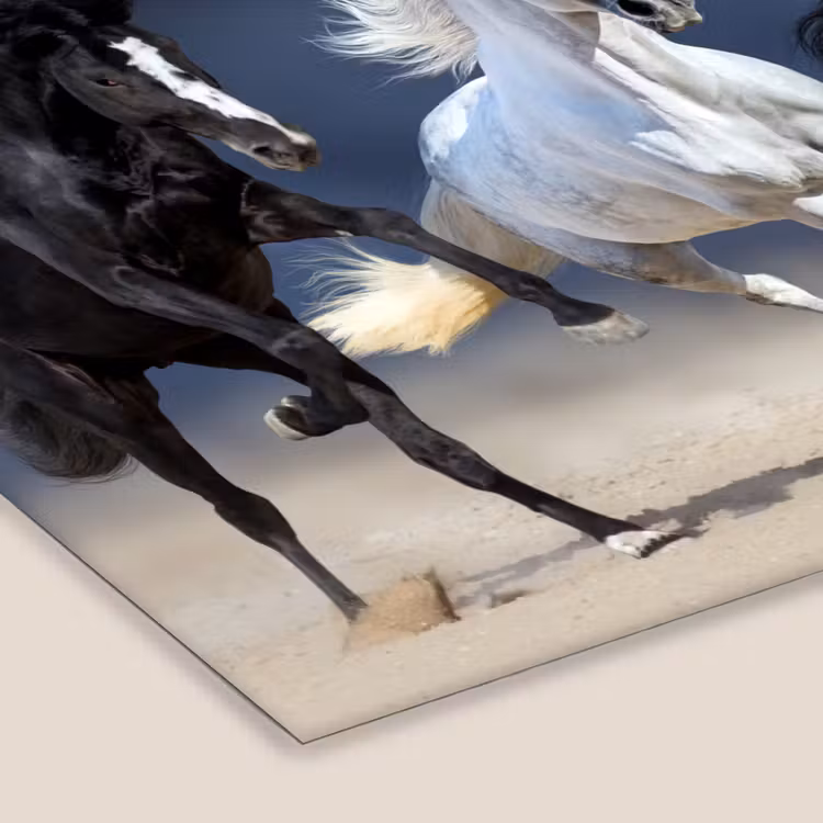 Poster met lijst - Paarden - Dieren - Zand — 7
