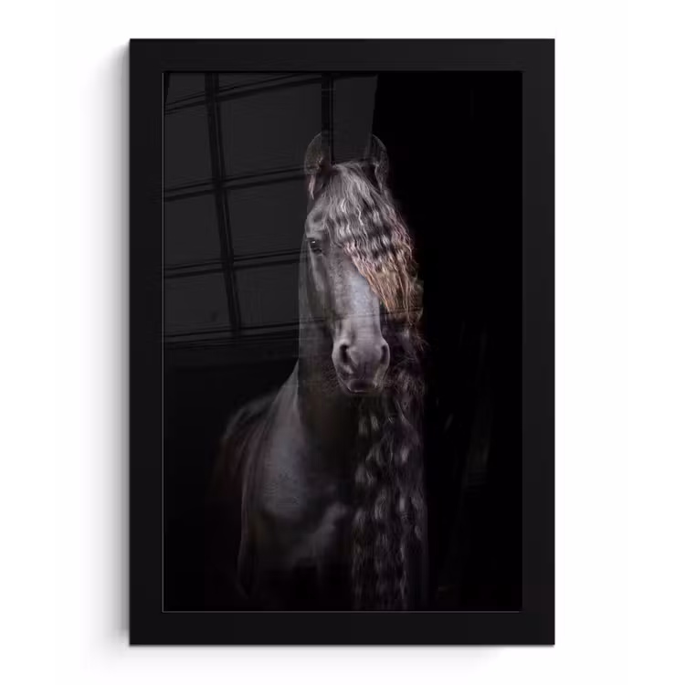 Poster met lijst - Paarden - Fries - Manen - Zwart - Dieren — 1