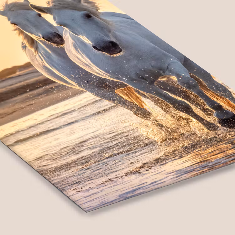 Poster met lijst - Paarden - Water - Strand - Dieren — 7