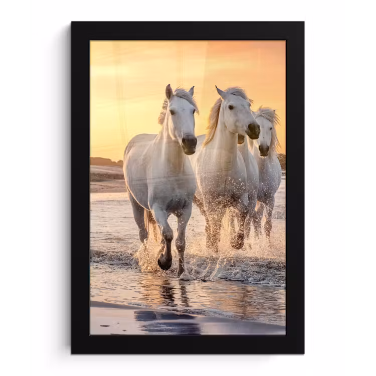Poster met lijst - Paarden - Zon - Zee - Strand - Dieren — 1
