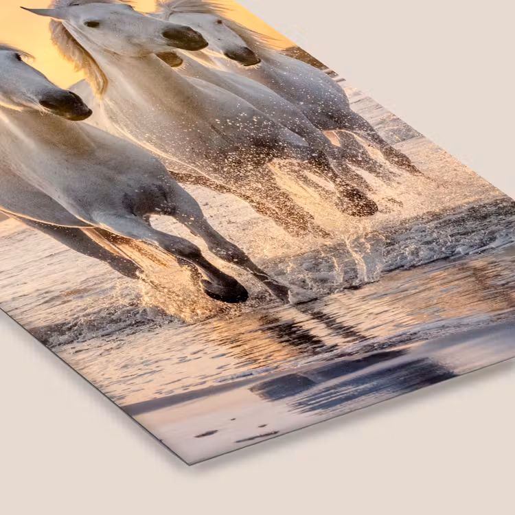 Poster met lijst - Paarden - Zon - Zee - Strand - Dieren — 7