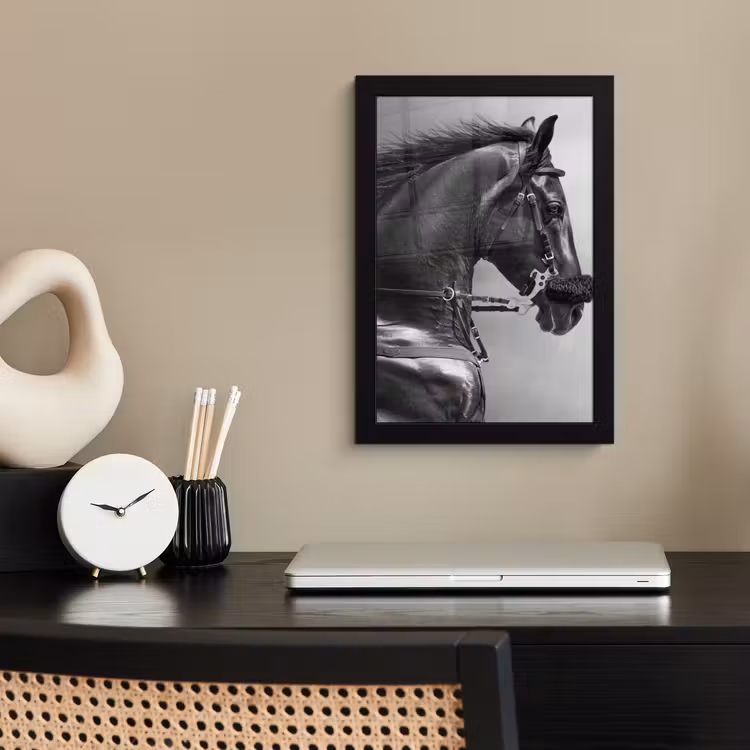 Poster met lijst - Paarden - Zwart - Portret - Dieren — 2
