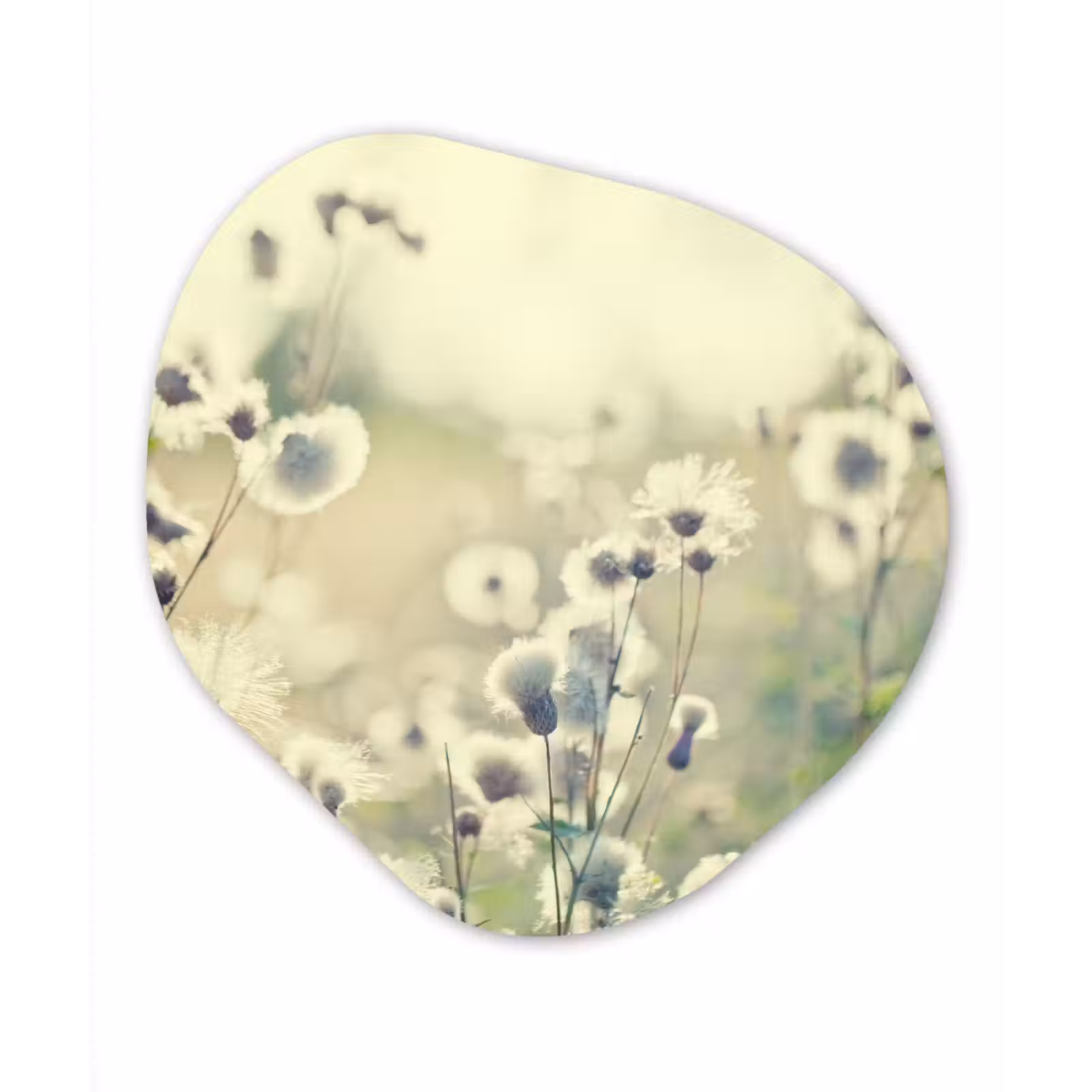 Organische Formen – Aluminium – Bloemen - Veld - Wit — 1