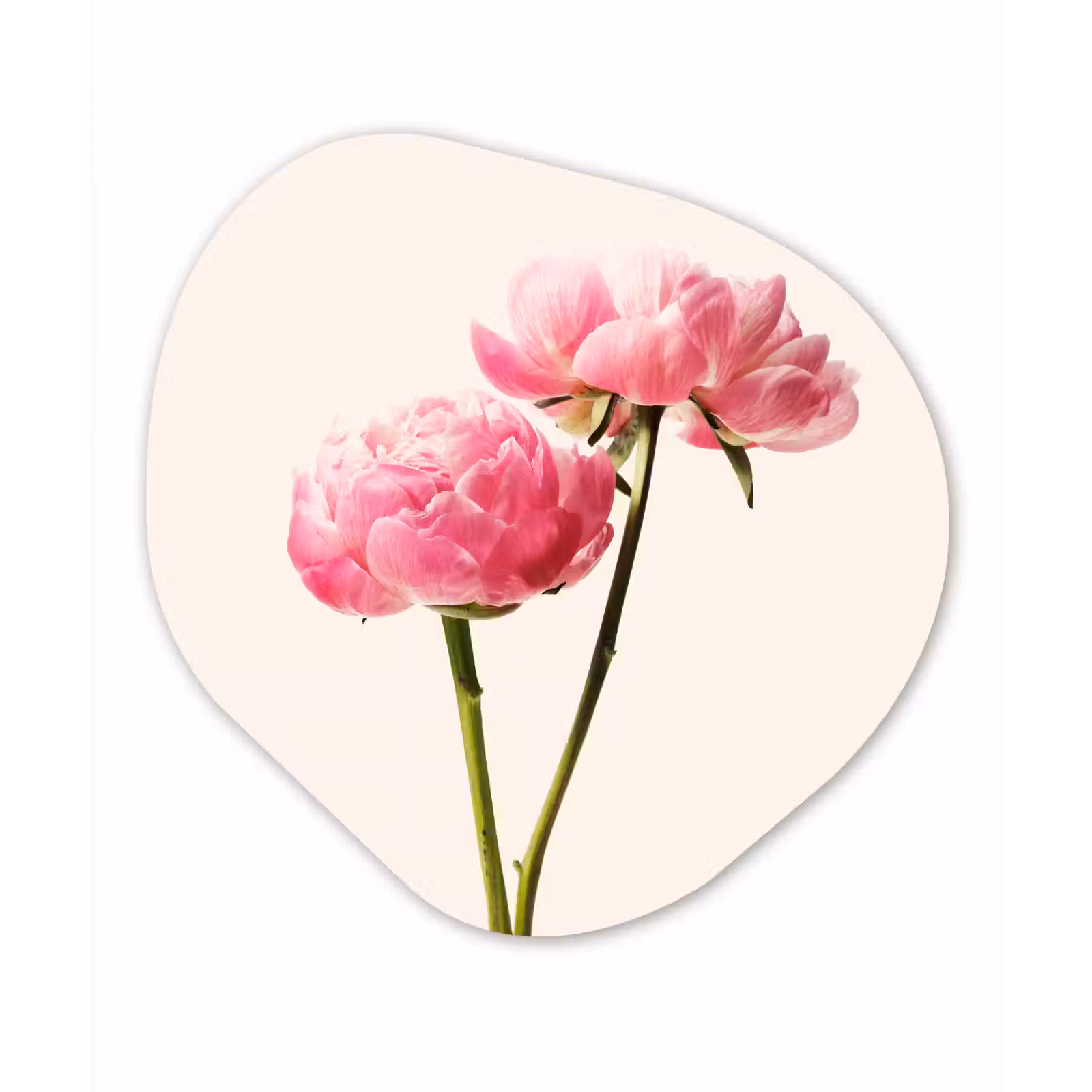 Organische Formen – Aluminium – Bloemen - Bloesem - Roze — 1