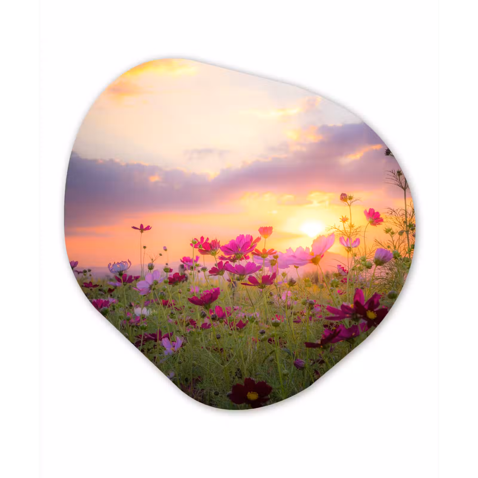 Organische Formen – Aluminium – Zonsondergang - Bloemen - Roze - Natuur - Groen — 1