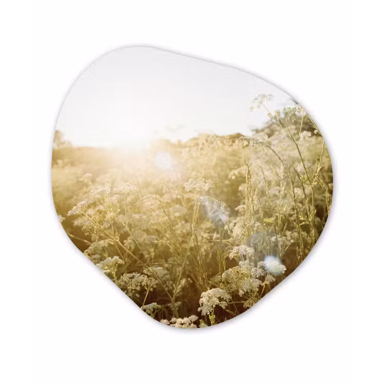 Organische Formen – Aluminium – Bloemen - Wit - Lente — 1