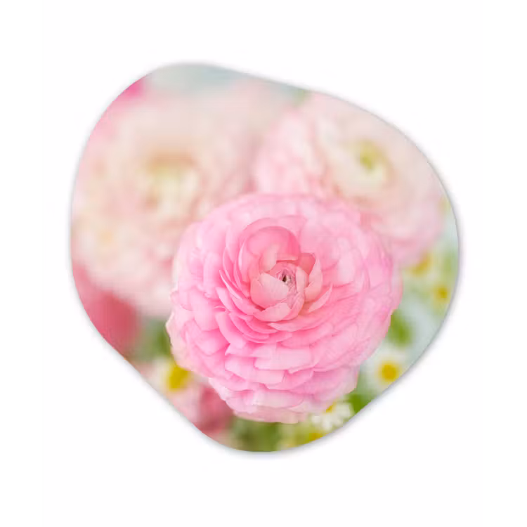 Organische Formen – Aluminium – Close-up van roze bloemen — 1