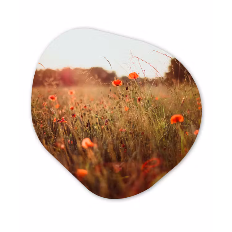 Organische Formen – Aluminium – Zonsondergang - Bloemen - Rood — 1