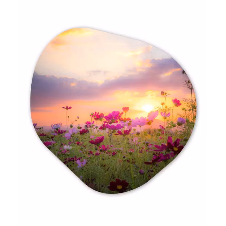 Organische Formen – Aluminium – Zonsondergang - Bloemen - Roze - Natuur - Groen — 1