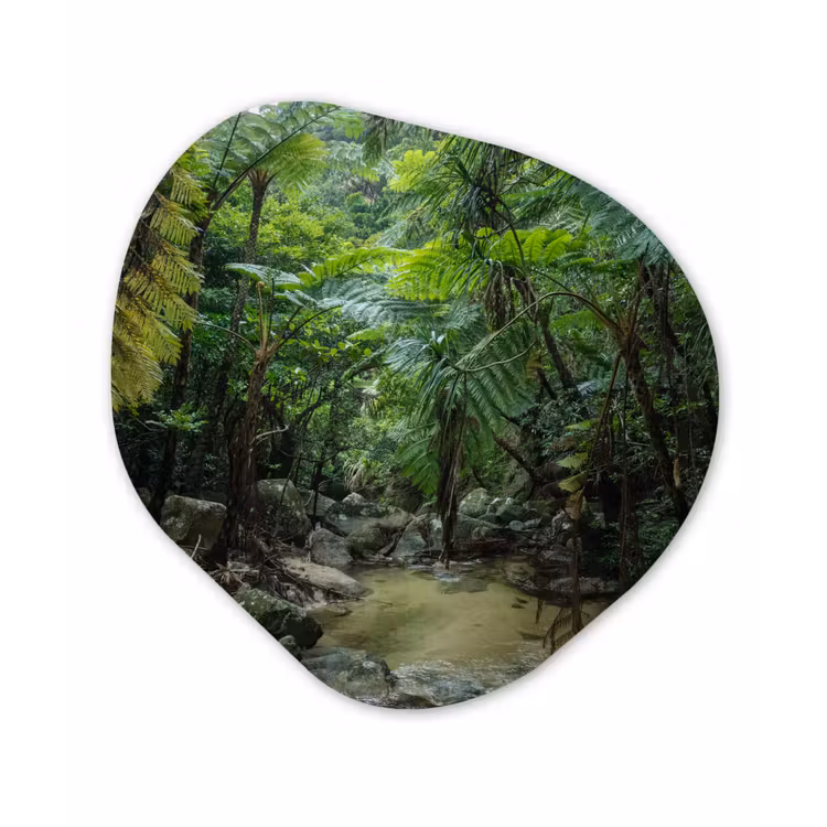 Organische Formen – Aluminium – Riviertje in tropische jungle — 1
