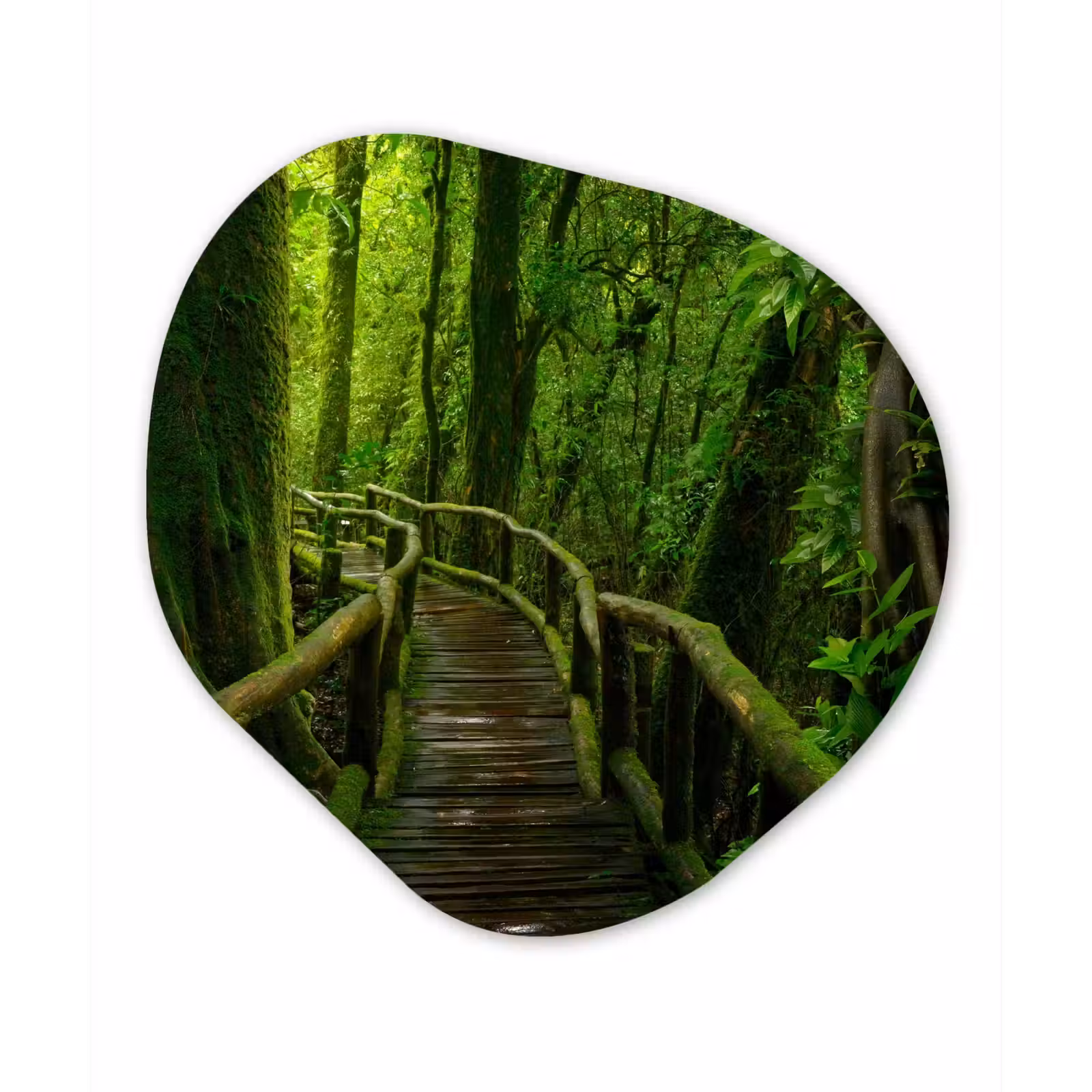 Organische Formen – Aluminium – Jungle - Brug - Mos - Natuur - Tropisch — 1