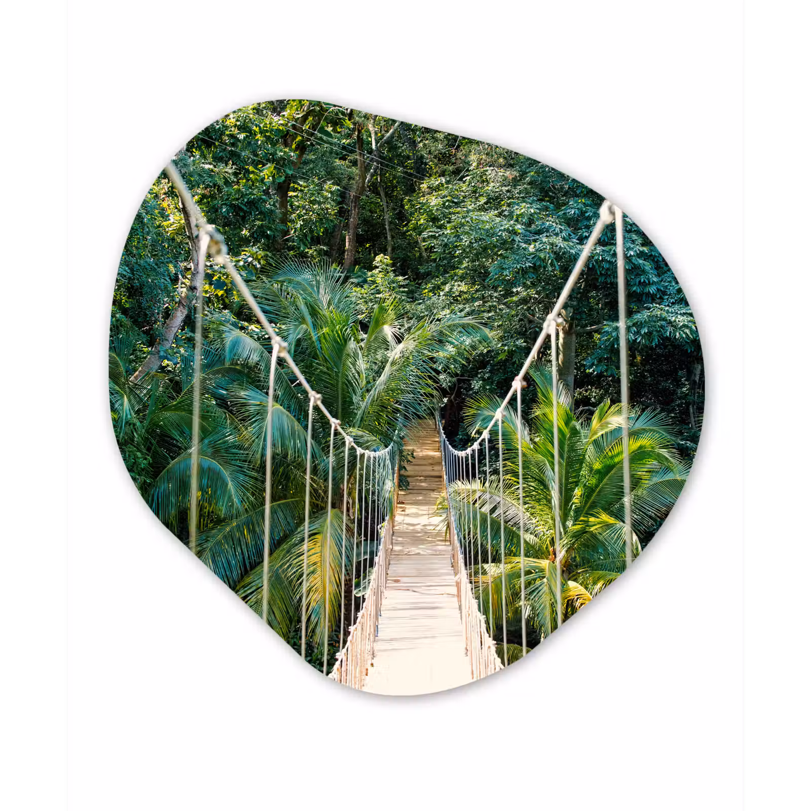 Organische Formen – Aluminium – Jungle - Palmboom - Brug - Natuur - Planten — 1