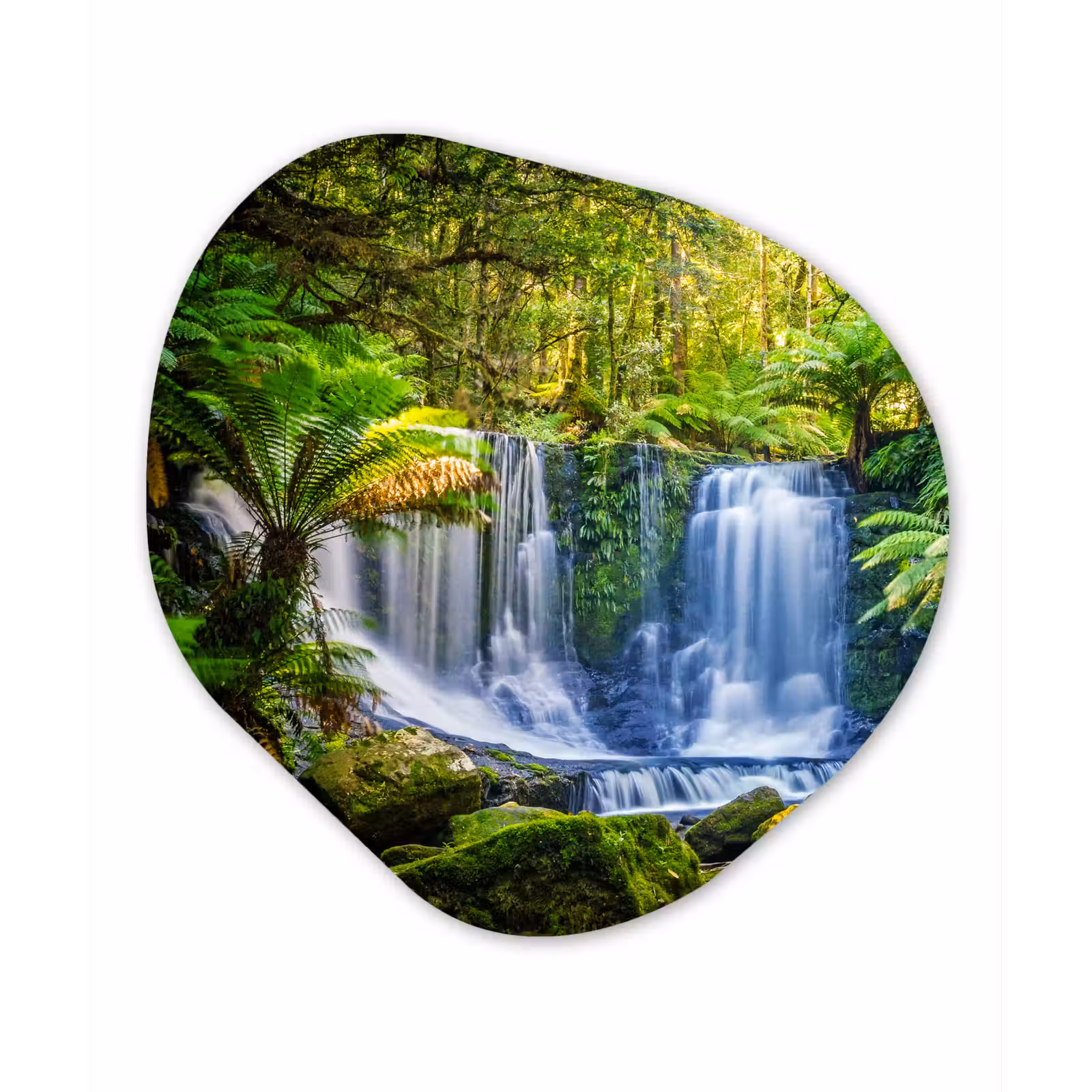 Organische Formen – Aluminium – Jungle - Waterval - Australië - Planten - Natuur — 1