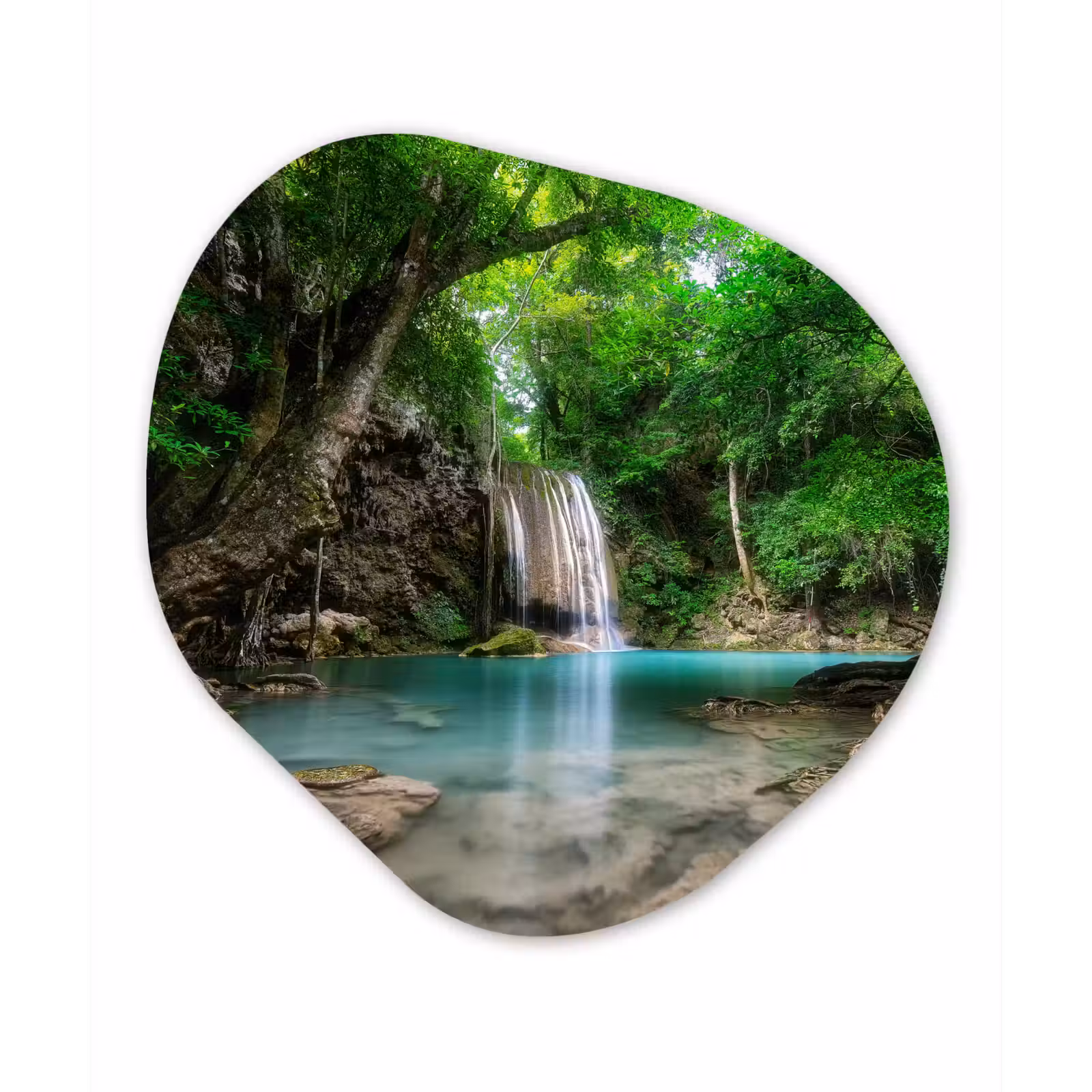 Organische Formen – Aluminium – Jungle - Waterval - Planten - Water - Natuur — 1