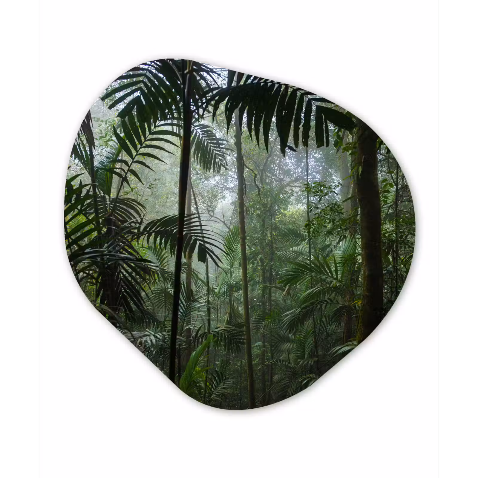 Organische Formen – Aluminium – Regenwoud - Tropisch - Jungle - Bomen - Planten — 1