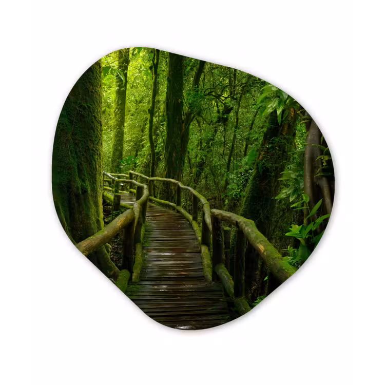 Organische Formen – Aluminium – Jungle - Brug - Mos - Natuur - Tropisch — 1