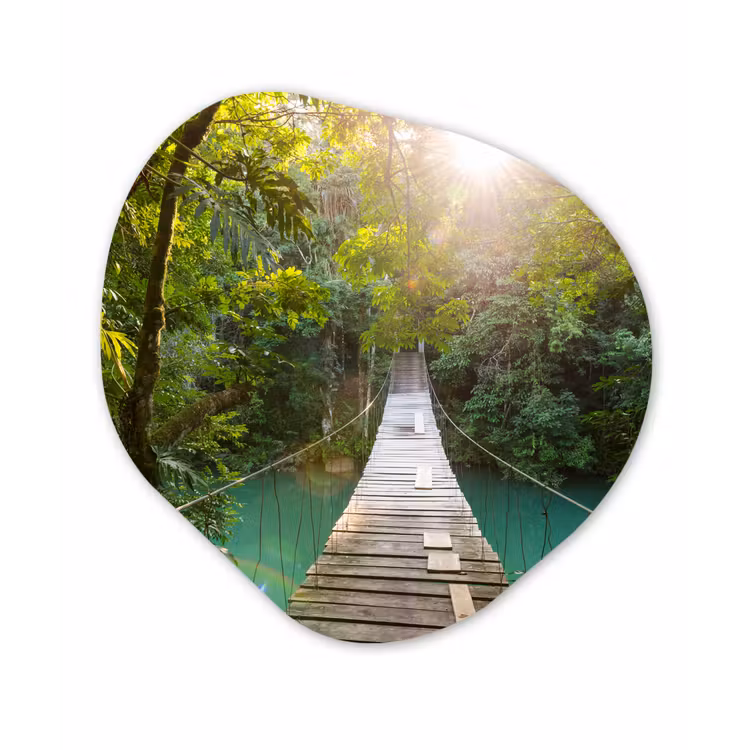 Organische Formen – Aluminium – Jungle - Water - Brug - Natuur - Planten — 1