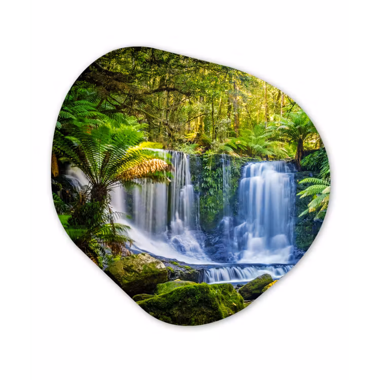 Organische Formen – Aluminium – Jungle - Waterval - Australië - Planten - Natuur — 1