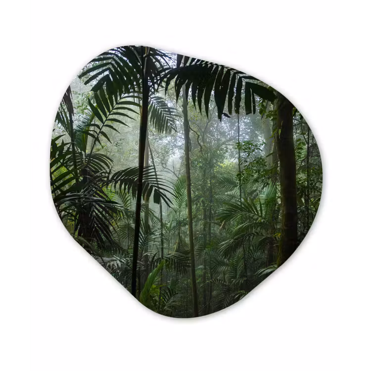 Organische Formen – Aluminium – Regenwoud - Tropisch - Jungle - Bomen - Planten — 1