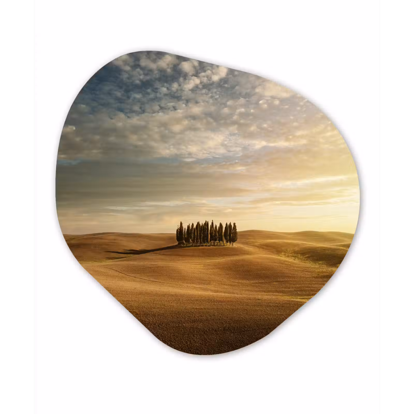 Organische Formen – Aluminium – Toscane - Bomen - Italië — 1