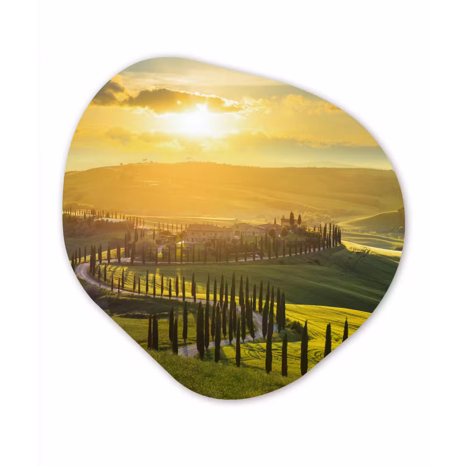 Organische Formen – Aluminium – Toscane - Zon - Italië — 1
