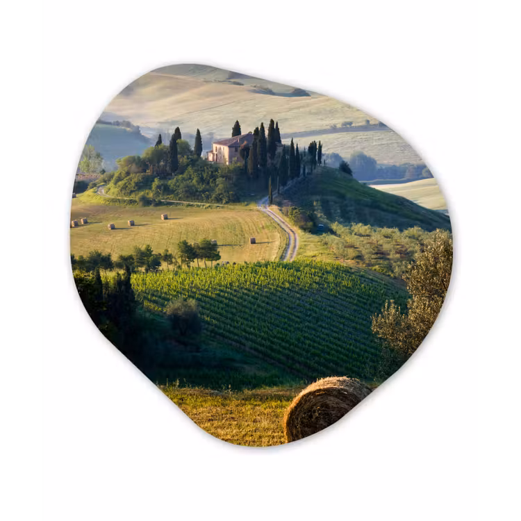 Organische Formen – Aluminium – Toscane - Landschap - Groen — 1