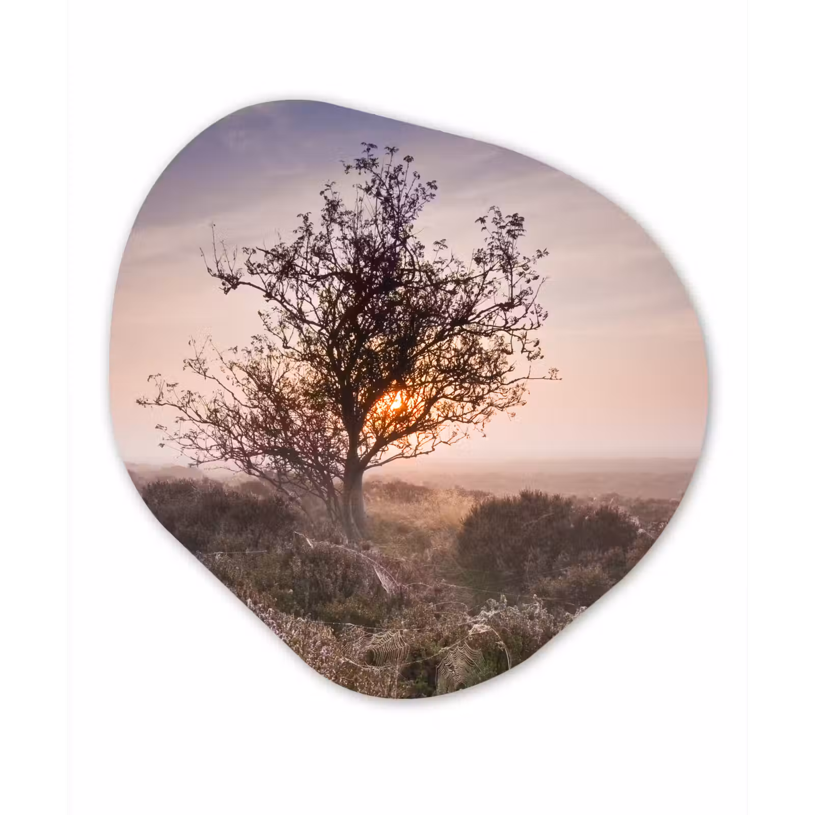 Organische Formen – Aluminium – De heide bij zonsopgang — 1