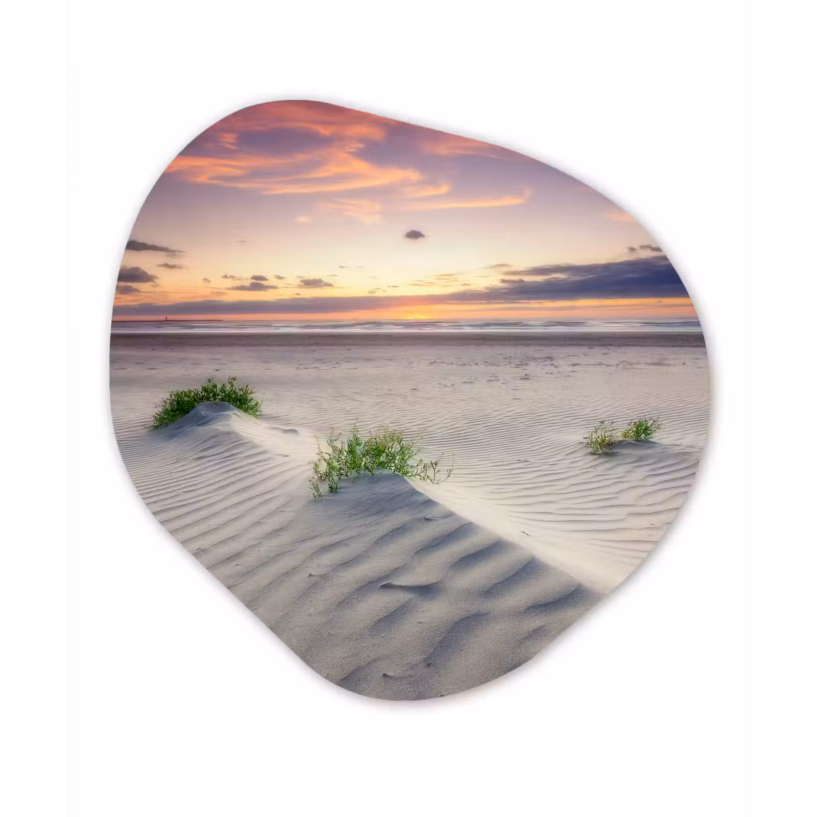 Organische Formen – Aluminium – Zonsondergang in een landschap in Nederland — 1