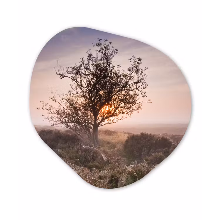 Organische Formen – Aluminium – De heide bij zonsopgang — 1