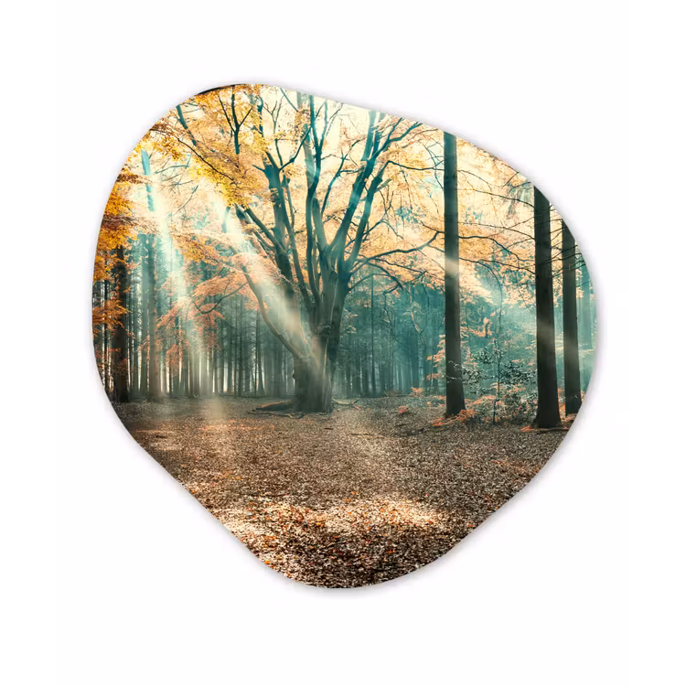 Organische Formen – Aluminium – Herfstbos in Nederland — 1
