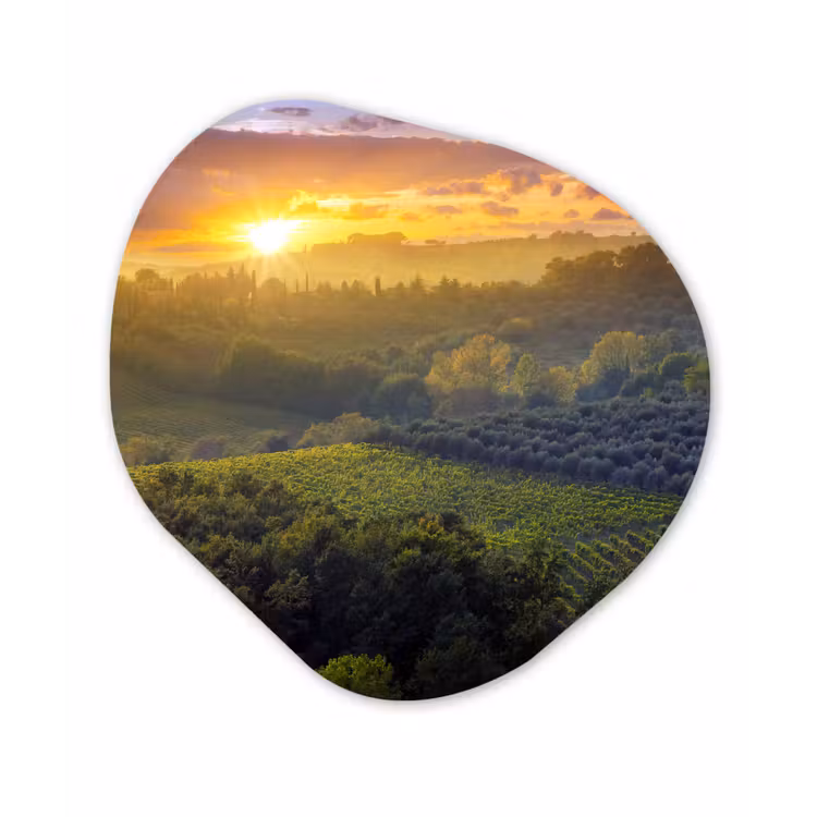 Organische Formen – Aluminium – Toscane - Landschap - Zon — 1