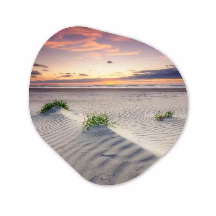 Organische Formen – Aluminium – Zonsondergang in een landschap in Nederland — 1