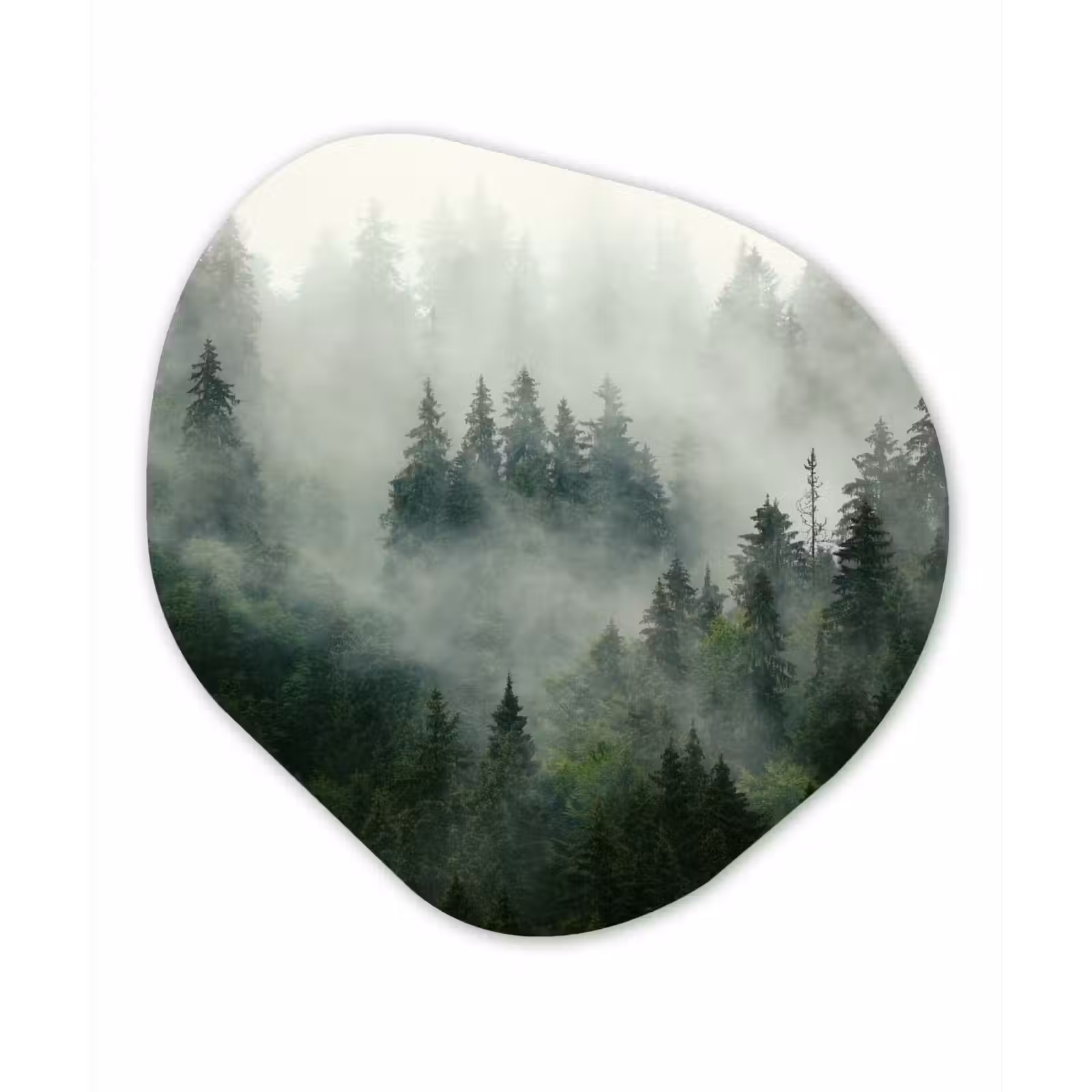 Organische Formen – Aluminium – Bos - Mist - Bomen - Natuur — 1