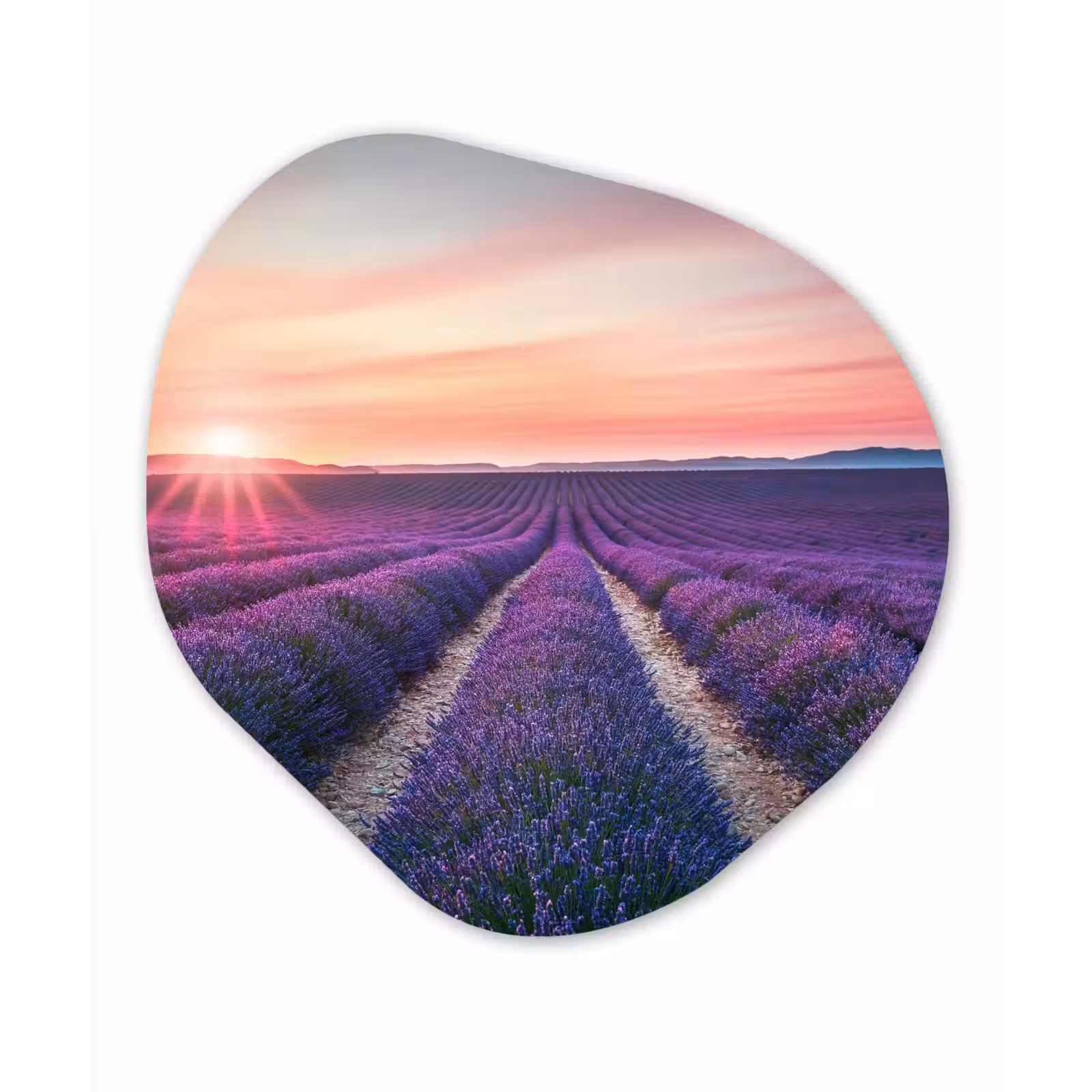 Organische Formen – Aluminium – Lavendel - Paars - Bloemen — 1