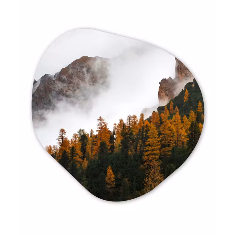 Organische Formen – Aluminium – Berg - Mist - Bos — 1