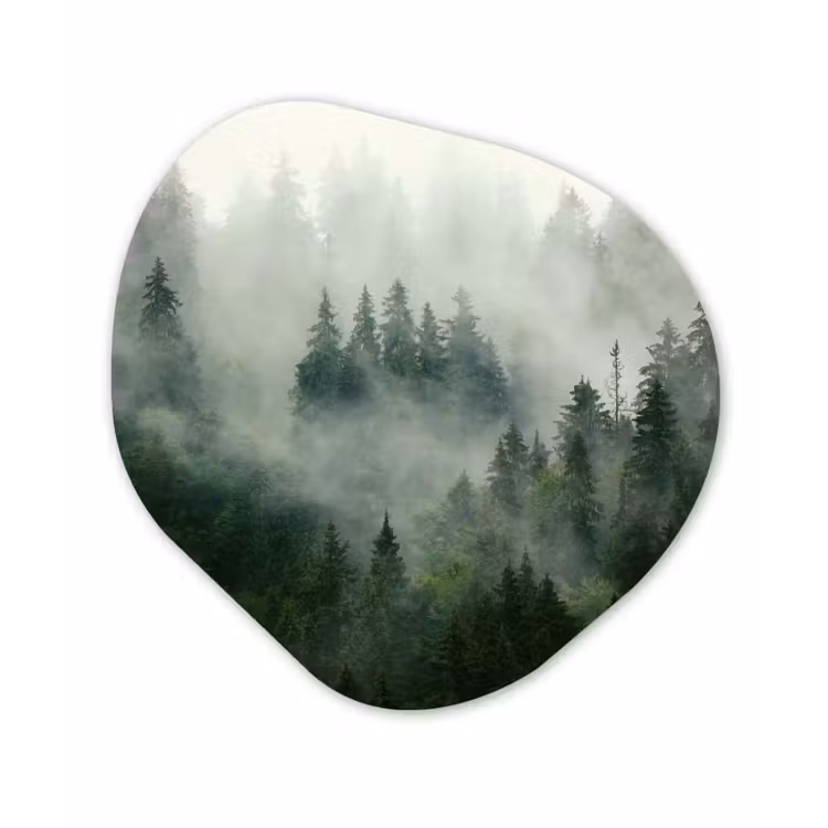 Organische Formen – Aluminium – Bos - Mist - Bomen - Natuur — 1