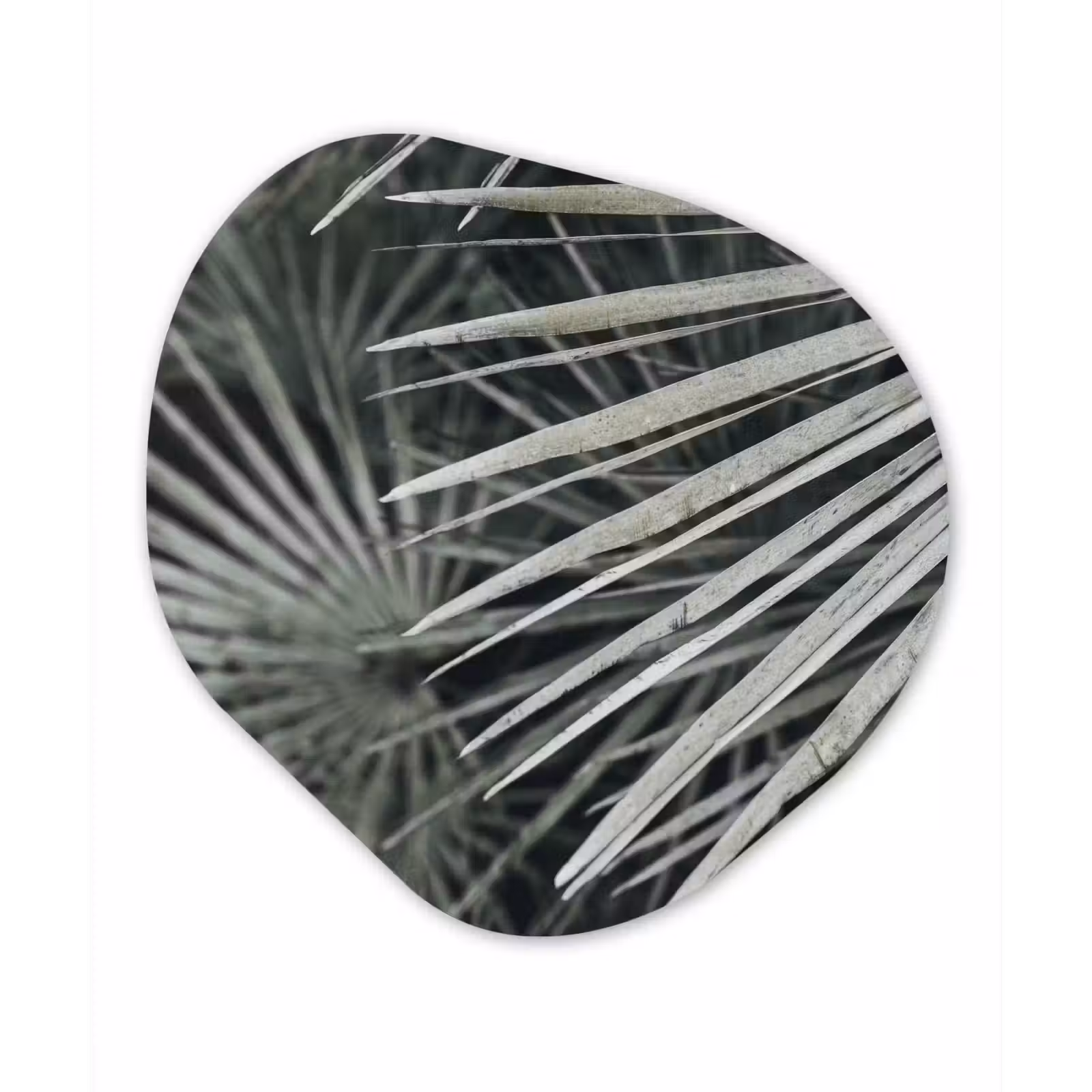 Organische Formen – Aluminium – Bladeren - Groen - Palm — 1