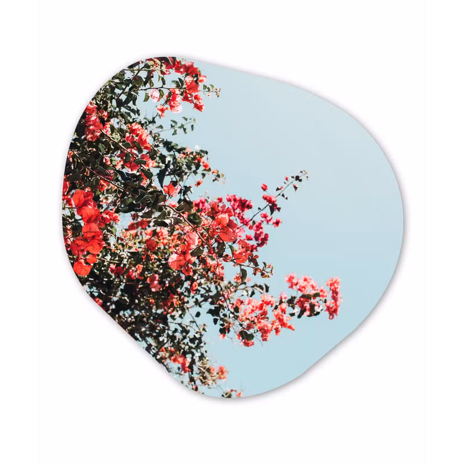 Organische Formen – Aluminium – Bloemen - Lucht - Roze — 1
