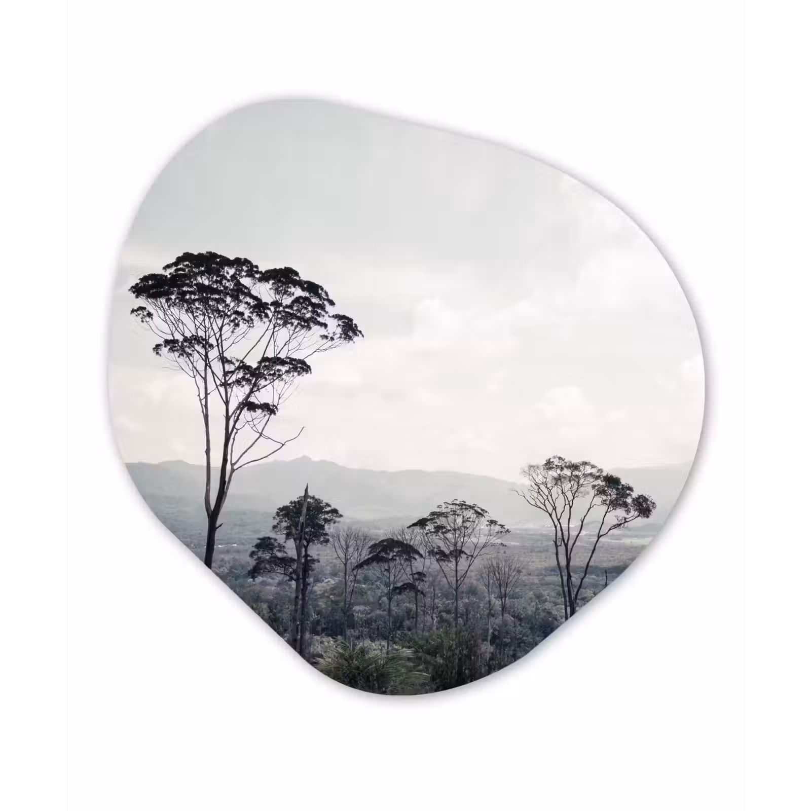 Organische Formen – Aluminium – Bomen - Lucht - Natuur — 1