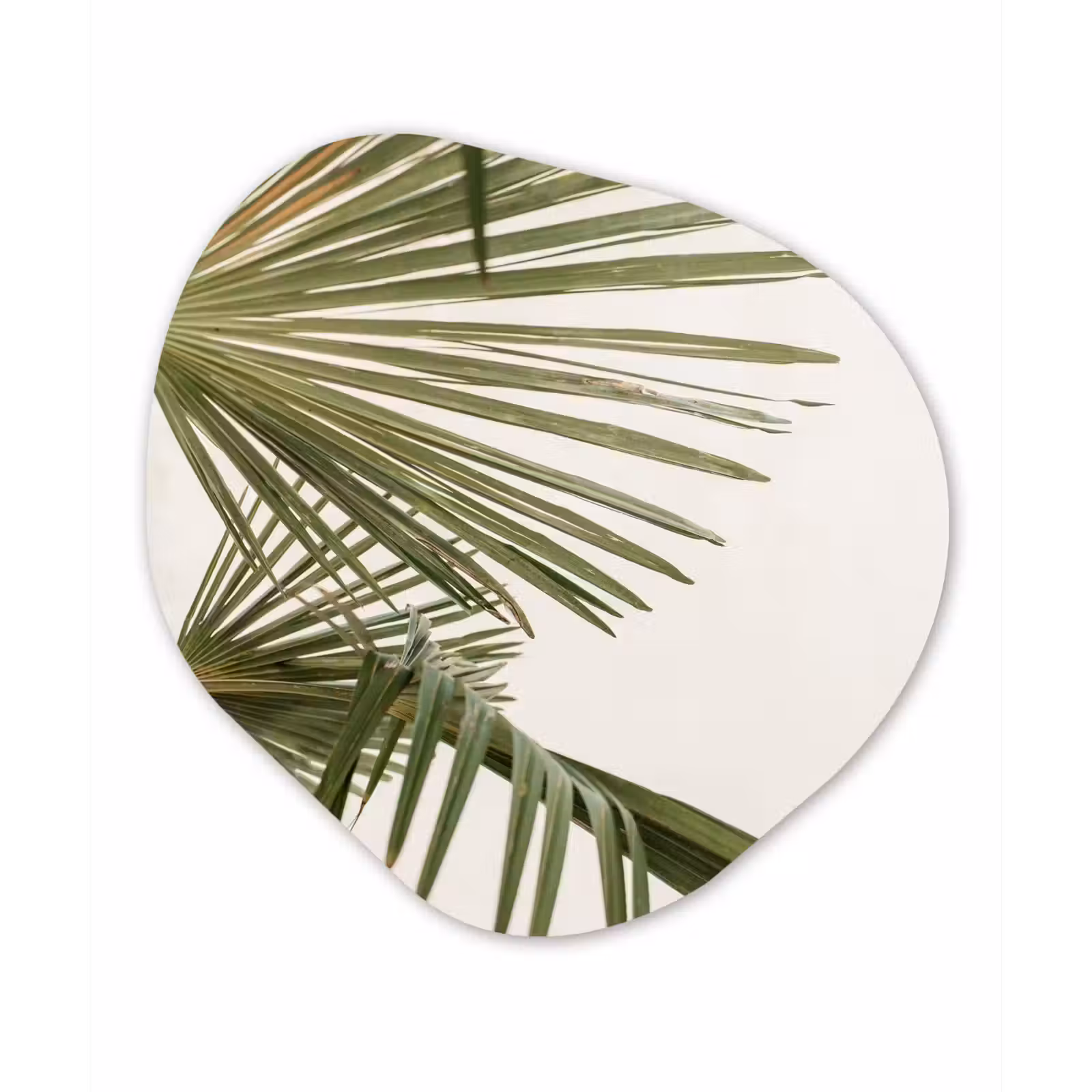 Organische Formen – Aluminium – Palmbladeren - Groen - Natuur — 1